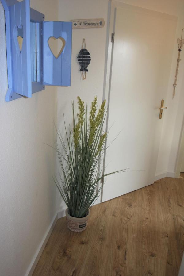 Tine Mit Balkon, Fahrraedern Und Strandkorb Im Sommer Appartement Zempin